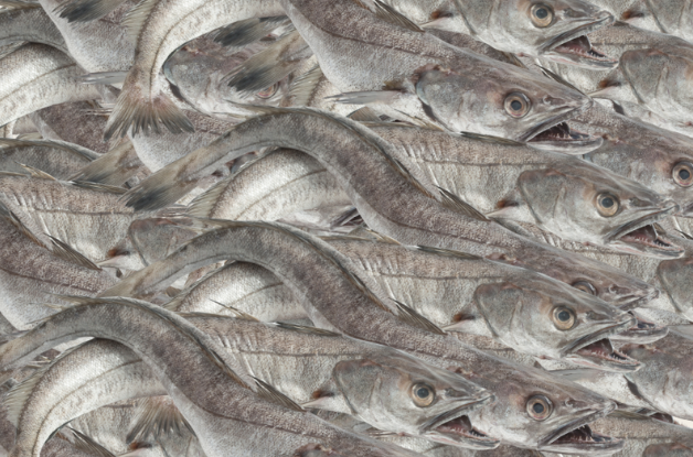 Pescado